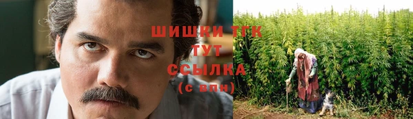 гашик Карпинск