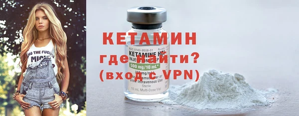 гашик Карпинск