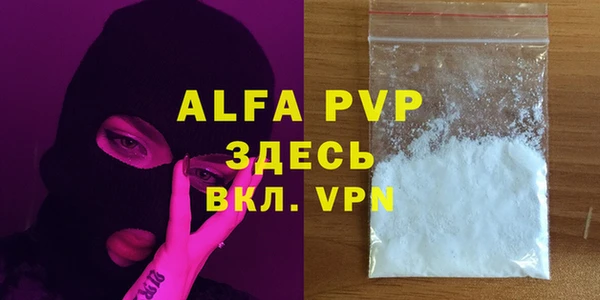 гашик Карпинск