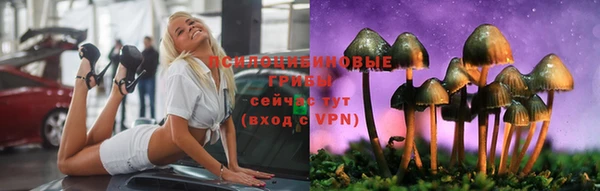 гашик Карпинск