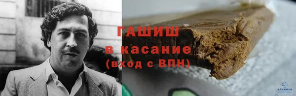 гашик Карпинск
