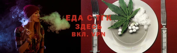 гашик Карпинск