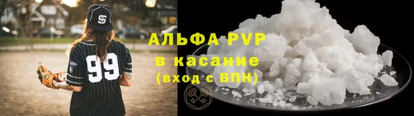 гашик Карпинск