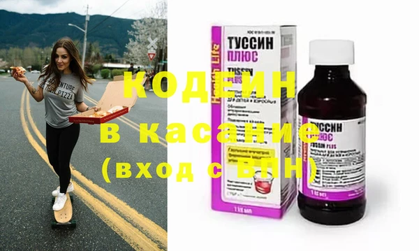 гашик Карпинск