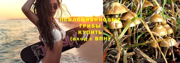 гашик Карпинск
