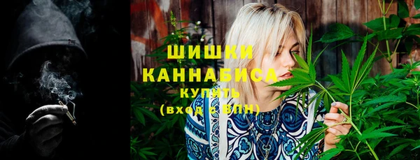 гашик Карпинск