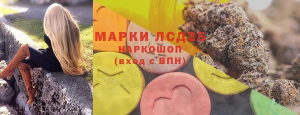 гашик Карпинск