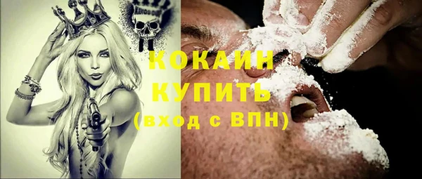 гашик Карпинск