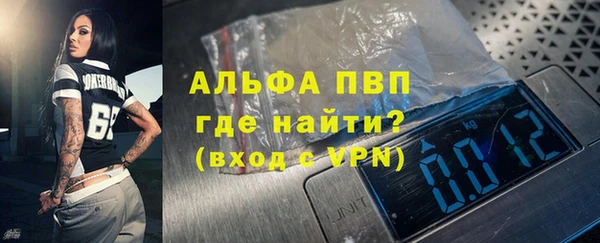гашик Карпинск